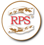 CLIQUE AQUI PARA ABRIR RPS Corretora de Seguros - PR